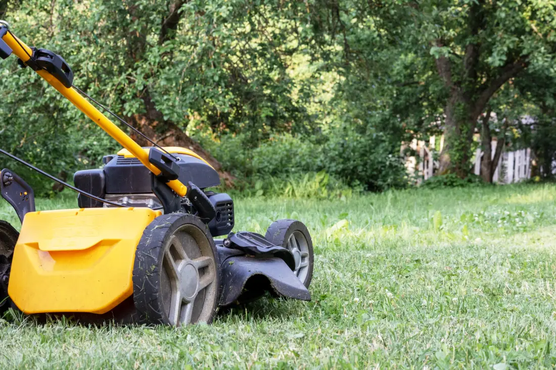 DeWALT mowers recall