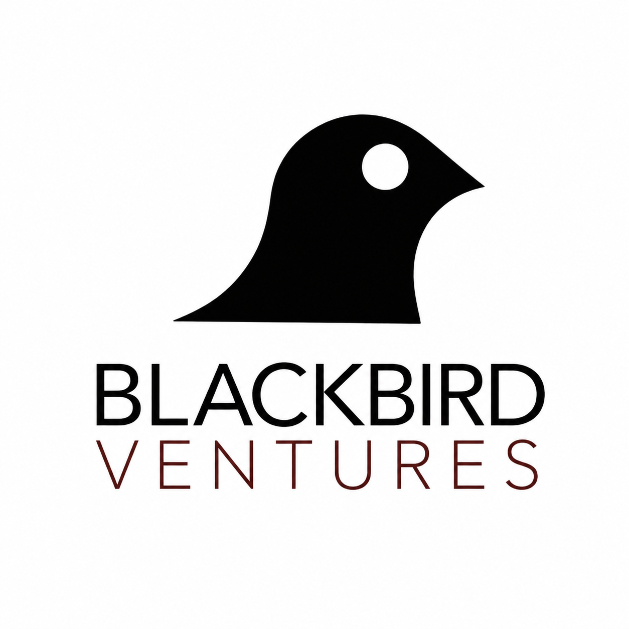 Venture capital explanation image